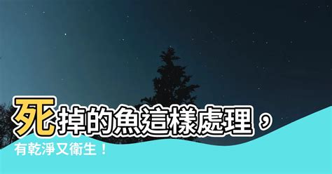 司空有痣 死魚怎麼處理